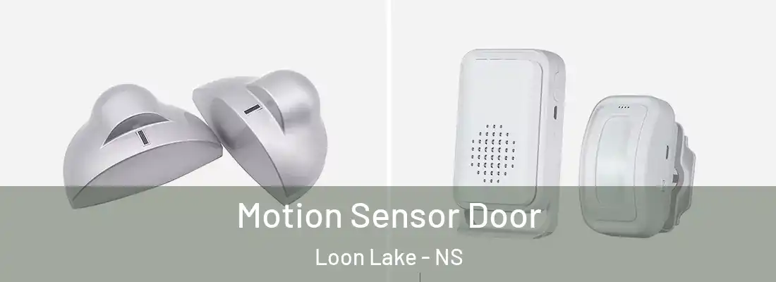 Motion Sensor Door Loon Lake - NS