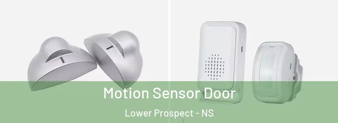 Motion Sensor Door Lower Prospect - NS