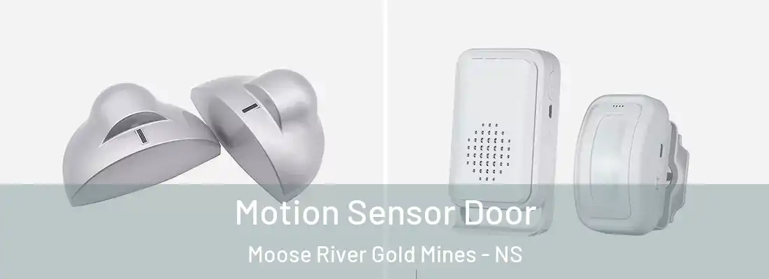 Motion Sensor Door Moose River Gold Mines - NS