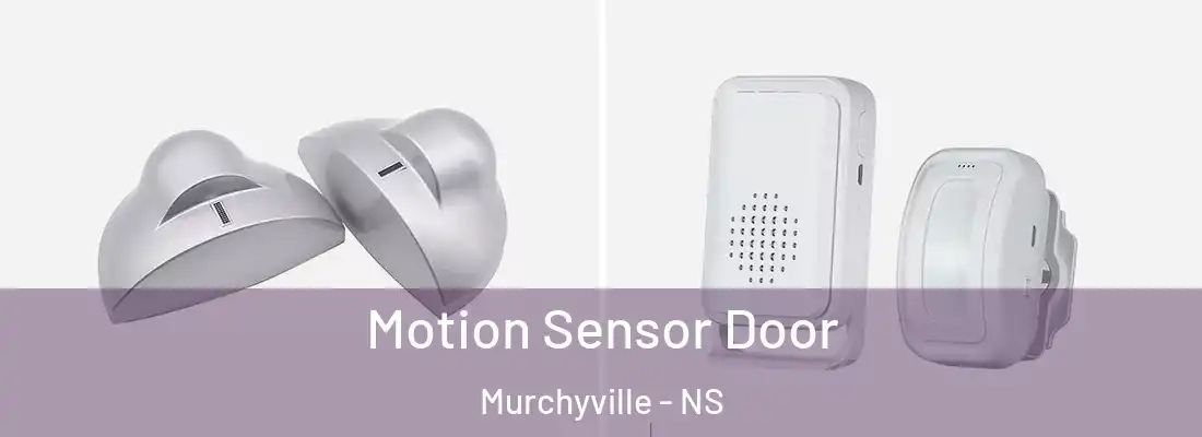 Motion Sensor Door Murchyville - NS
