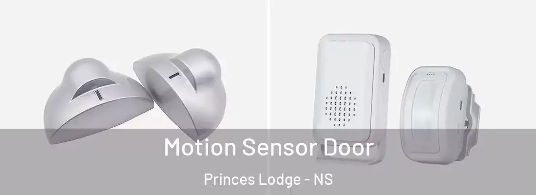 Motion Sensor Door Princes Lodge - NS