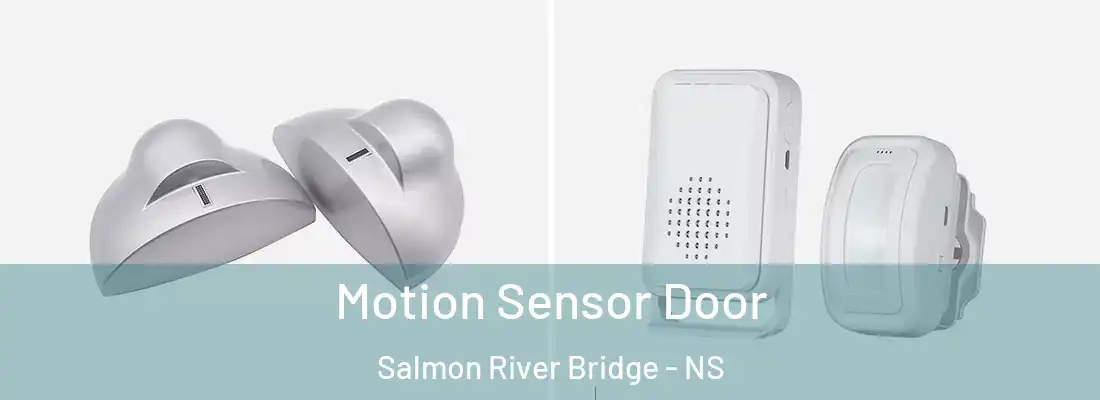 Motion Sensor Door Salmon River Bridge - NS