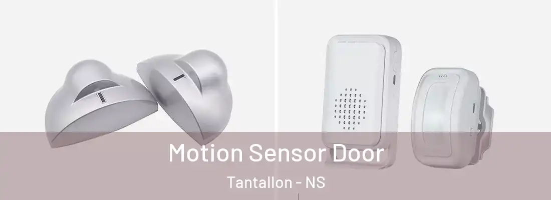 Motion Sensor Door Tantallon - NS
