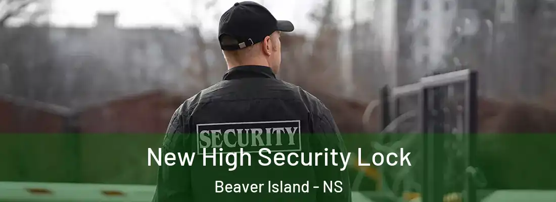  New High Security Lock Beaver Island - NS