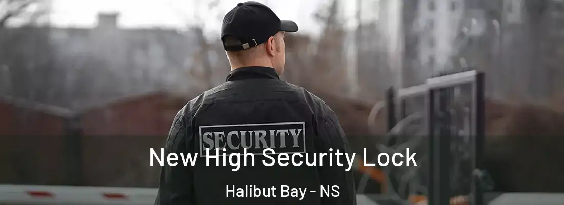 New High Security Lock Halibut Bay - NS