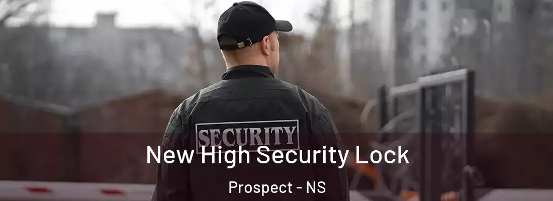 New High Security Lock Prospect - NS