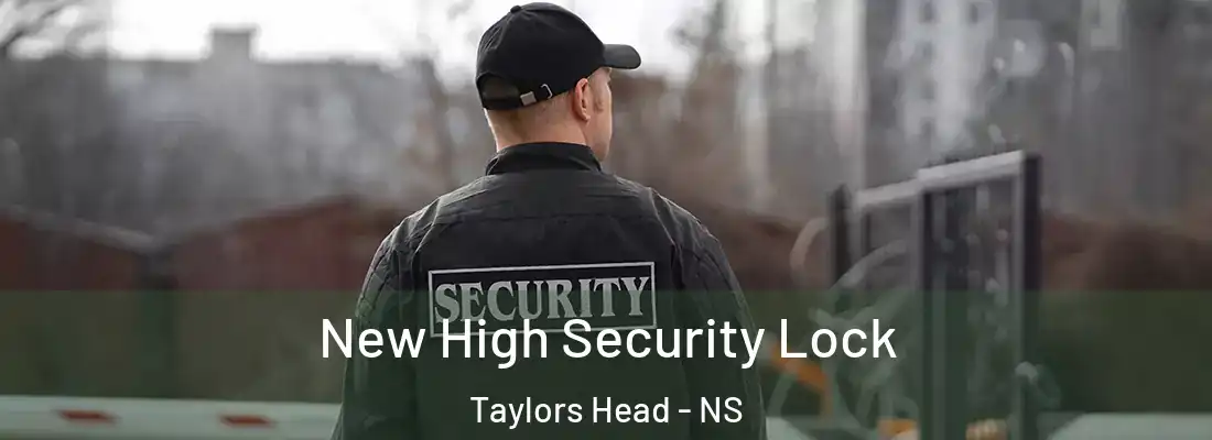  New High Security Lock Taylors Head - NS