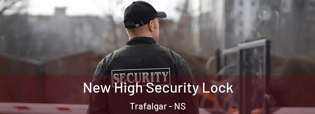  New High Security Lock Trafalgar - NS