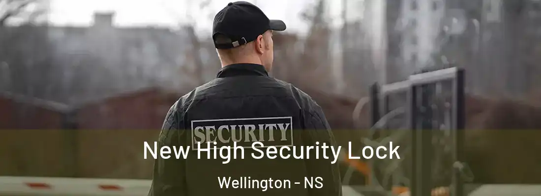 New High Security Lock Wellington - NS
