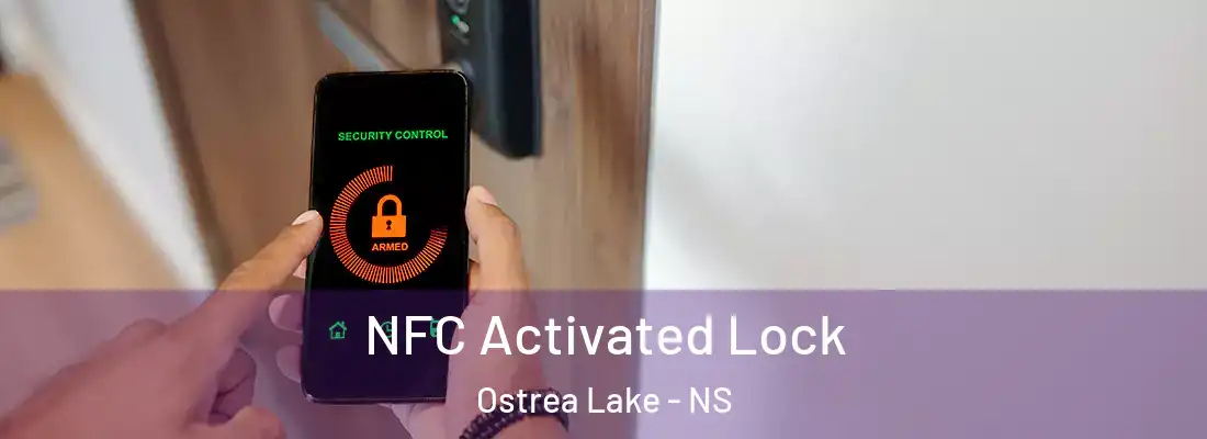 NFC Activated Lock Ostrea Lake - NS