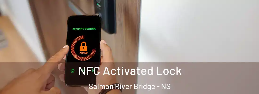 NFC Activated Lock Salmon River Bridge - NS