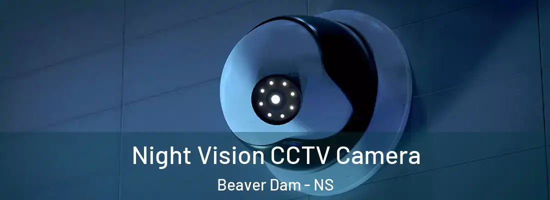Night Vision CCTV Camera Beaver Dam - NS