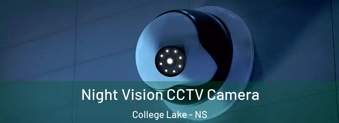 Night Vision CCTV Camera College Lake - NS