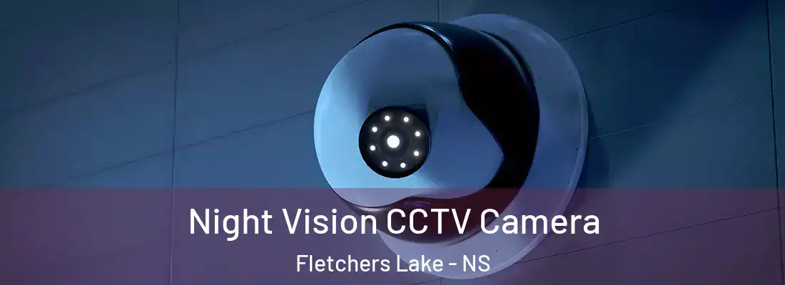 Night Vision CCTV Camera Fletchers Lake - NS