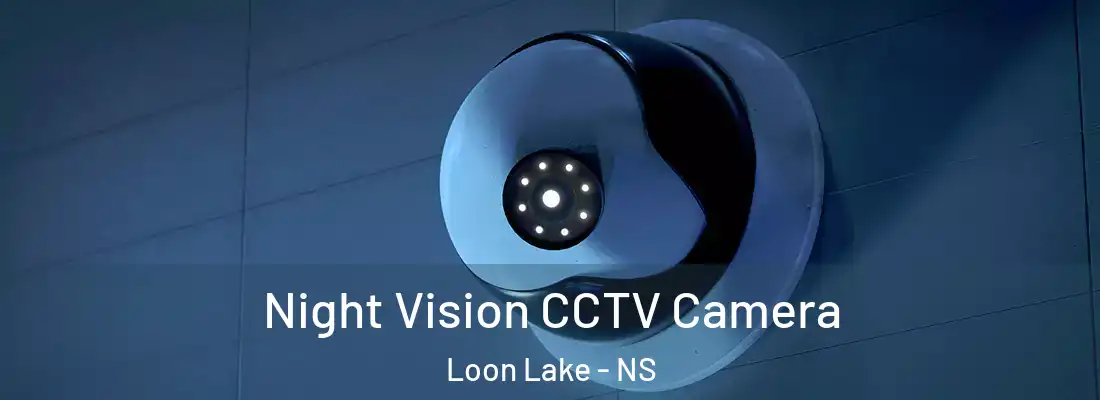 Night Vision CCTV Camera Loon Lake - NS