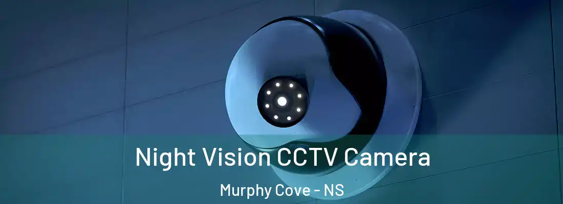 Night Vision CCTV Camera Murphy Cove - NS