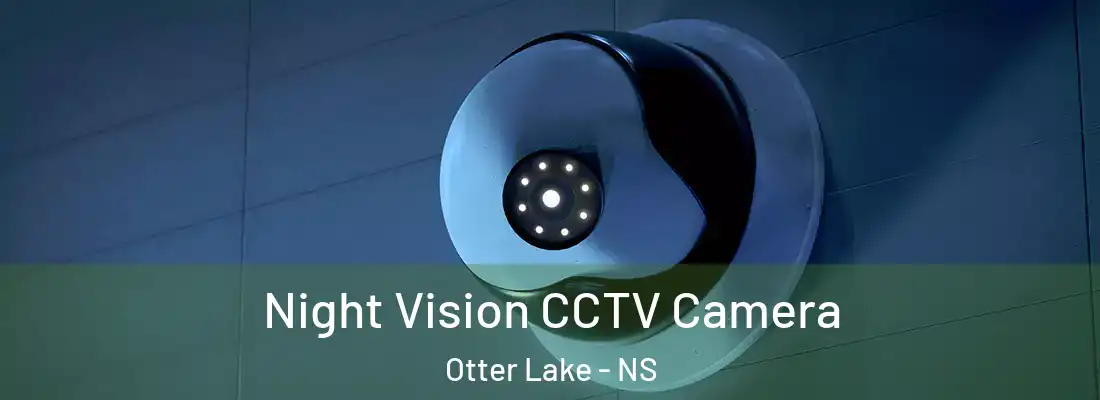  Night Vision CCTV Camera Otter Lake - NS