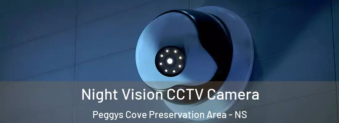  Night Vision CCTV Camera Peggys Cove Preservation Area - NS