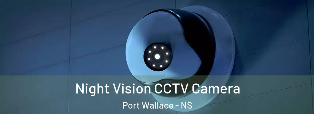  Night Vision CCTV Camera Port Wallace - NS