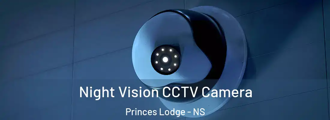 Night Vision CCTV Camera Princes Lodge - NS