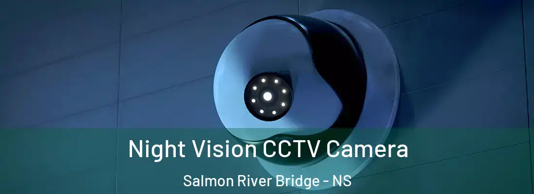  Night Vision CCTV Camera Salmon River Bridge - NS