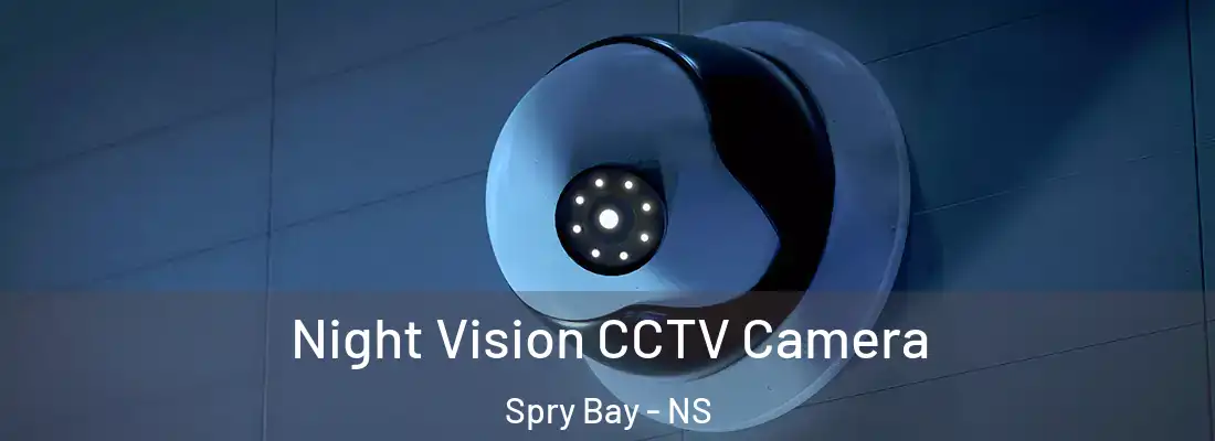 Night Vision CCTV Camera Spry Bay - NS