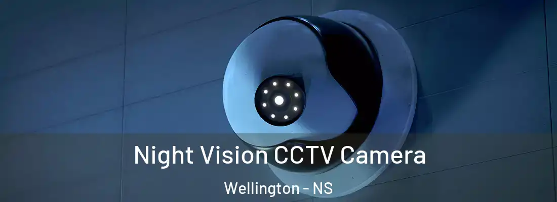 Night Vision CCTV Camera Wellington - NS