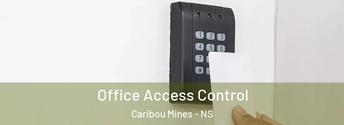 Office Access Control Caribou Mines - NS