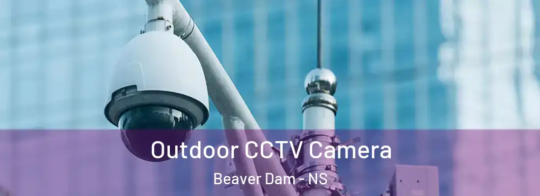 Outdoor CCTV Camera Beaver Dam - NS