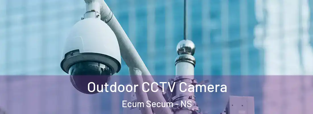 Outdoor CCTV Camera Ecum Secum - NS