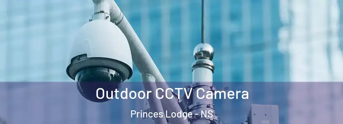Outdoor CCTV Camera Princes Lodge - NS