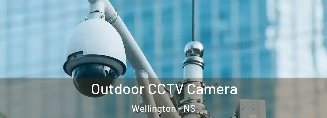 Outdoor CCTV Camera Wellington - NS