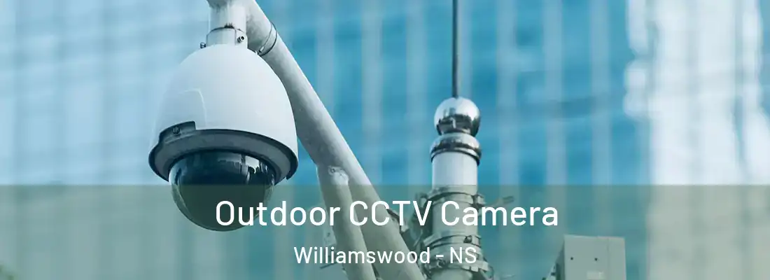 Outdoor CCTV Camera Williamswood - NS