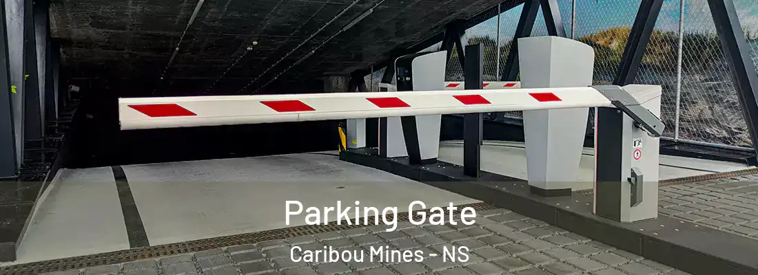 Parking Gate Caribou Mines - NS