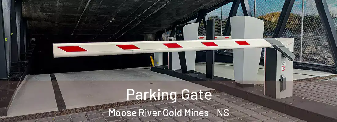  Parking Gate Moose River Gold Mines - NS