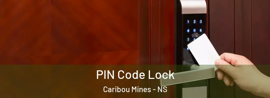 PIN Code Lock Caribou Mines - NS