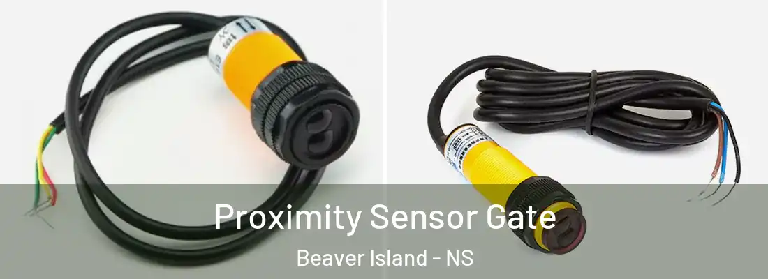 Proximity Sensor Gate Beaver Island - NS