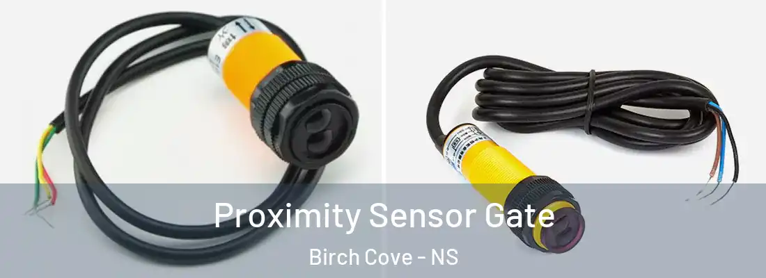 Proximity Sensor Gate Birch Cove - NS