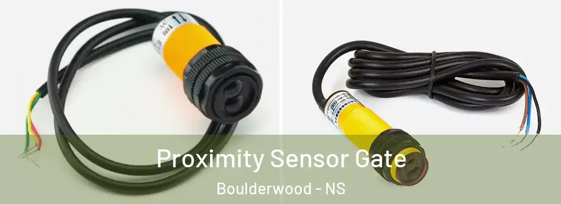 Proximity Sensor Gate Boulderwood - NS