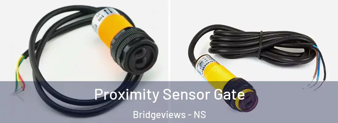 Proximity Sensor Gate Bridgeviews - NS