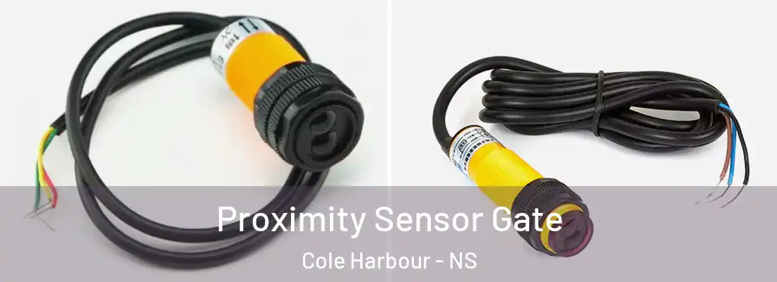 Proximity Sensor Gate Cole Harbour - NS
