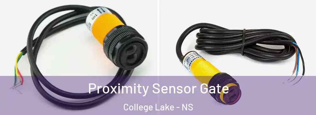 Proximity Sensor Gate College Lake - NS