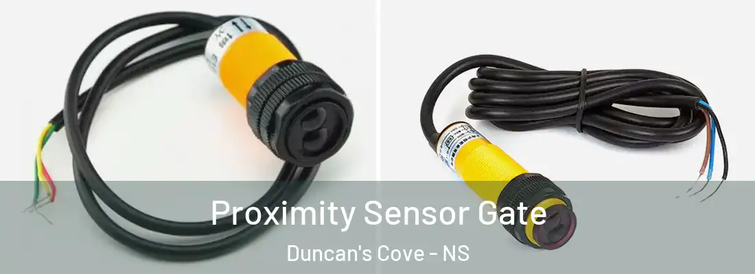 Proximity Sensor Gate Duncan's Cove - NS
