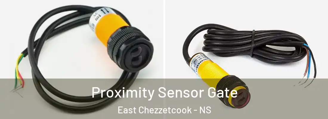 Proximity Sensor Gate East Chezzetcook - NS