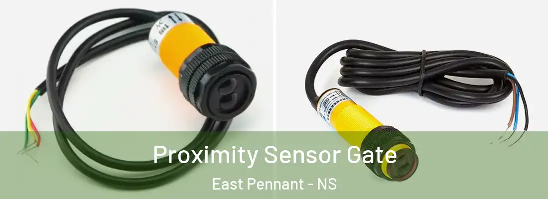 Proximity Sensor Gate East Pennant - NS