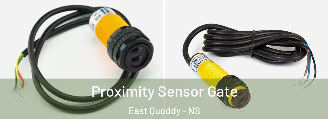 Proximity Sensor Gate East Quoddy - NS