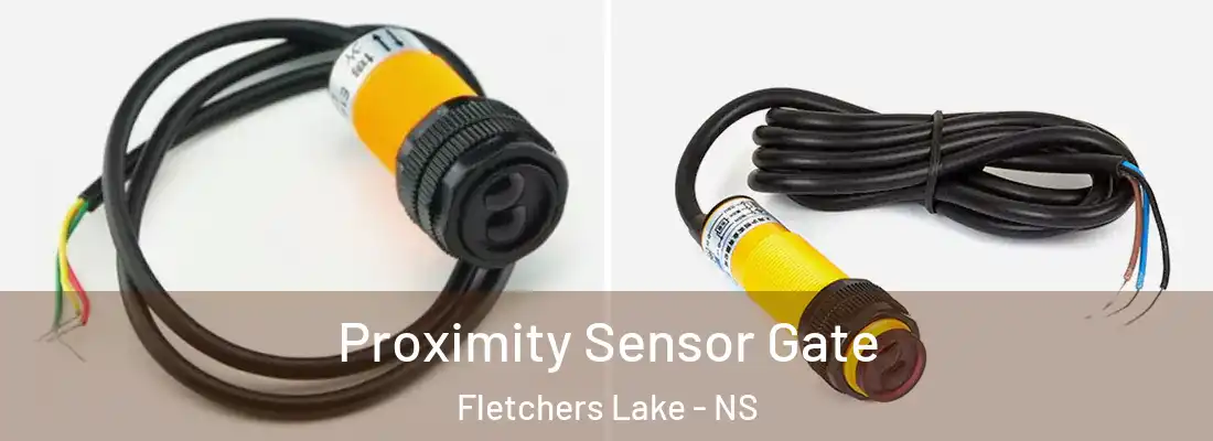 Proximity Sensor Gate Fletchers Lake - NS