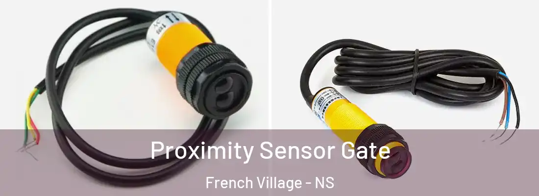 Proximity Sensor Gate French Village - NS