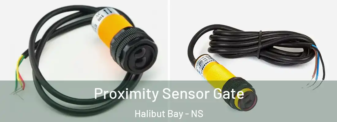 Proximity Sensor Gate Halibut Bay - NS