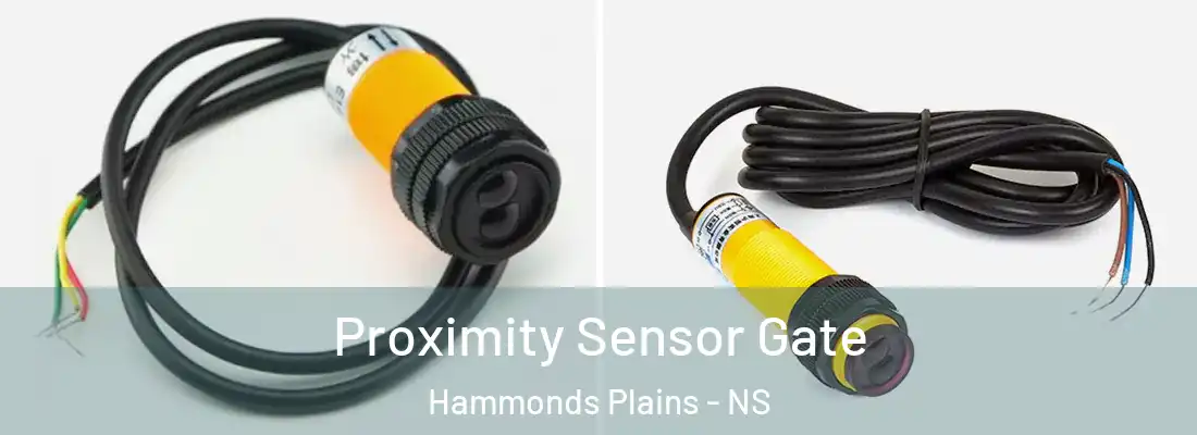 Proximity Sensor Gate Hammonds Plains - NS